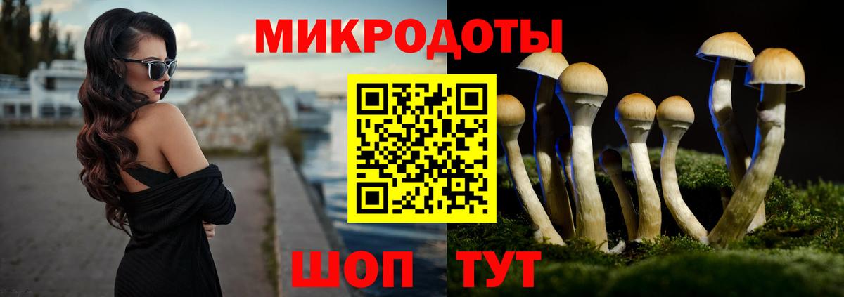 Псилоцибиновые грибы прущие грибы Пугачёв